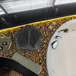 アパート In Centre