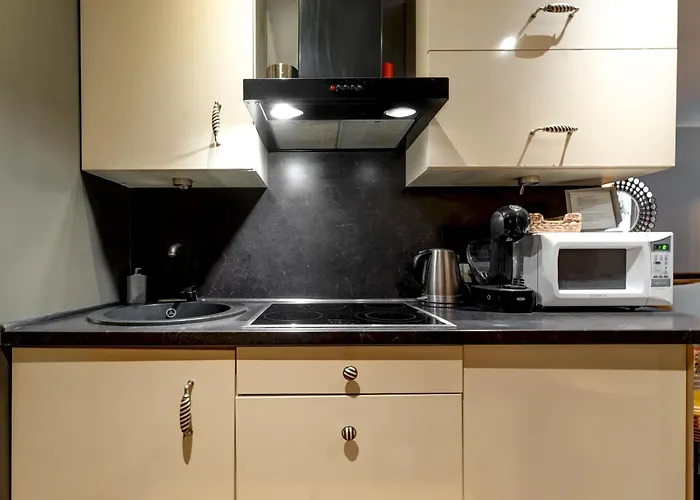 Apartman In Centre Vilnius